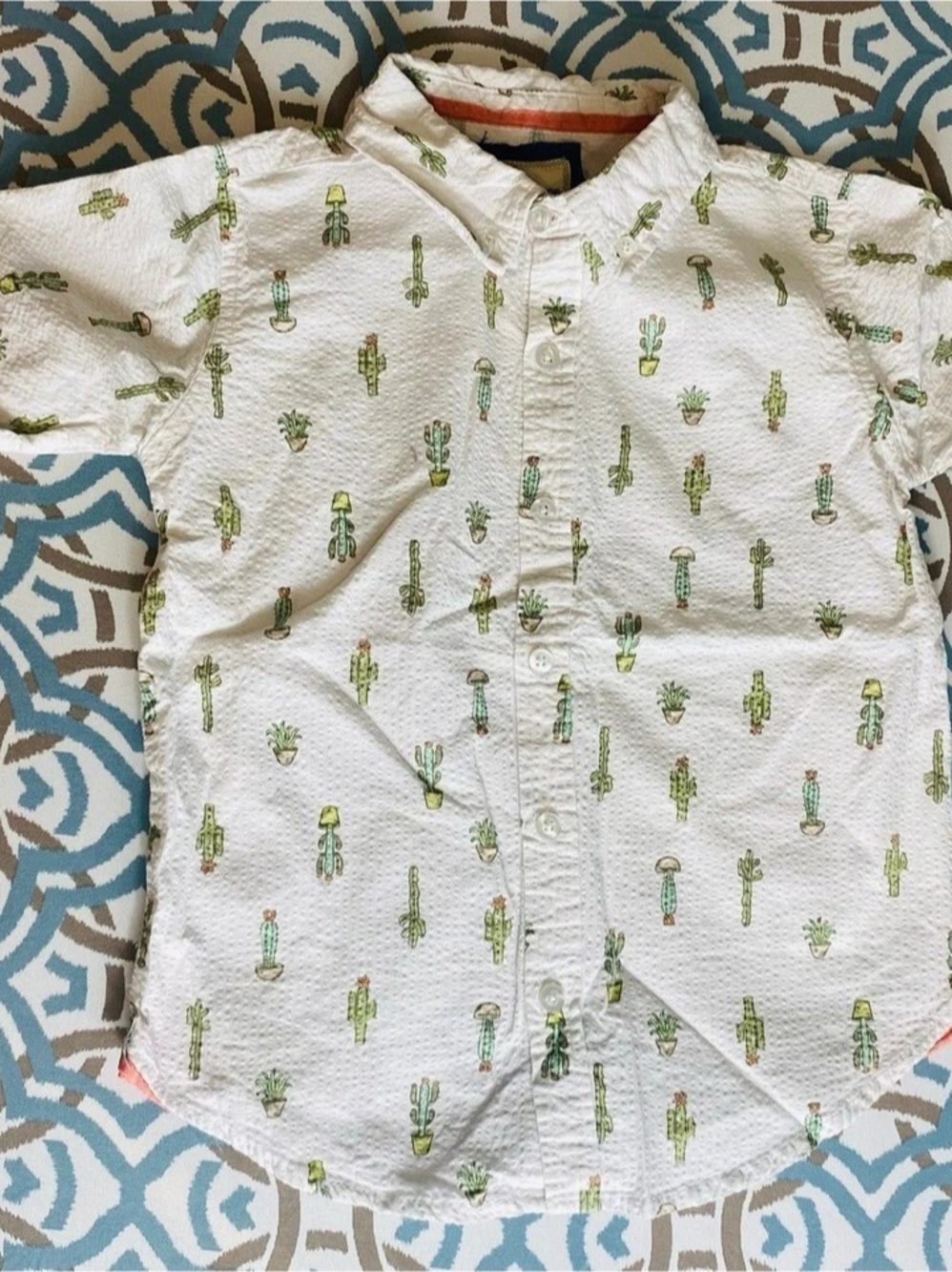 Stitch & Stone Pajama Gilly collection Cactus Button Down Shirt boys Size 6